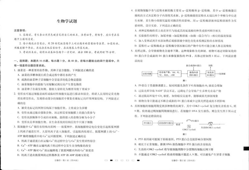贵州省六校联盟2024-2025学年高三上学期12月月考试题生物PDF版含解析_2024-2025高三（6-6月题库）_2024年12月试卷_1226贵州省六校联盟2024-2025学年高三上学期12月实用性联考（三）（全科）