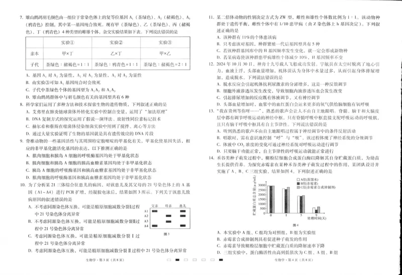 贵州省六校联盟2024-2025学年高三上学期12月月考试题生物PDF版含解析_2024-2025高三（6-6月题库）_2024年12月试卷_1226贵州省六校联盟2024-2025学年高三上学期12月实用性联考（三）（全科）