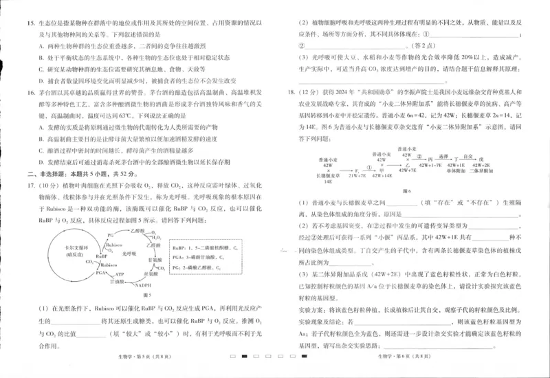 贵州省六校联盟2024-2025学年高三上学期12月月考试题生物PDF版含解析_2024-2025高三（6-6月题库）_2024年12月试卷_1226贵州省六校联盟2024-2025学年高三上学期12月实用性联考（三）（全科）