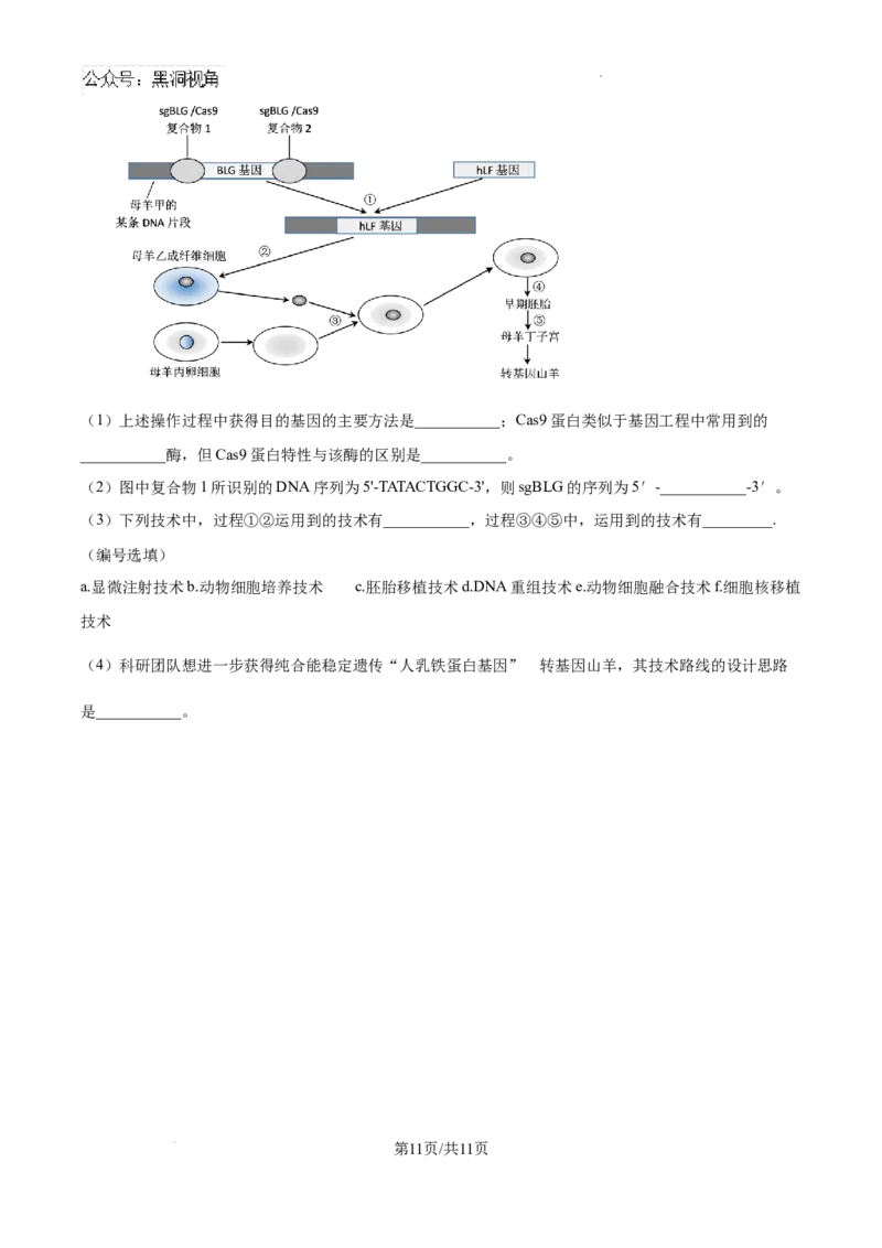 广东省深圳中学2024-2025学年高三上学期第一次摸底考试生物试题（卷）_2024-2026高三（6-6月题库）_2024年09月试卷_0925广东省深圳中学2024-2025学年高三上学期第一次摸底考试