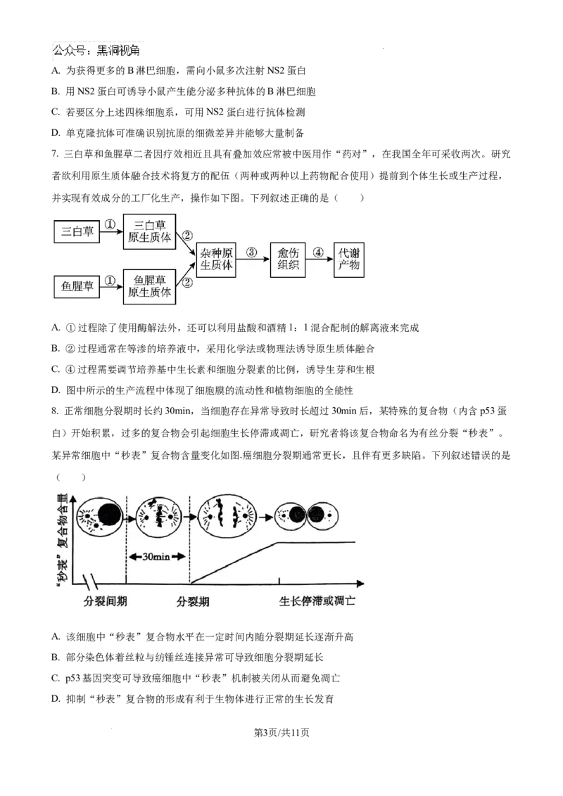 广东省深圳中学2024-2025学年高三上学期第一次摸底考试生物试题（卷）_2024-2026高三（6-6月题库）_2024年09月试卷_0925广东省深圳中学2024-2025学年高三上学期第一次摸底考试