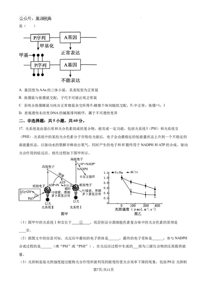 广东省深圳中学2024-2025学年高三上学期第一次摸底考试生物试题（卷）_2024-2026高三（6-6月题库）_2024年09月试卷_0925广东省深圳中学2024-2025学年高三上学期第一次摸底考试