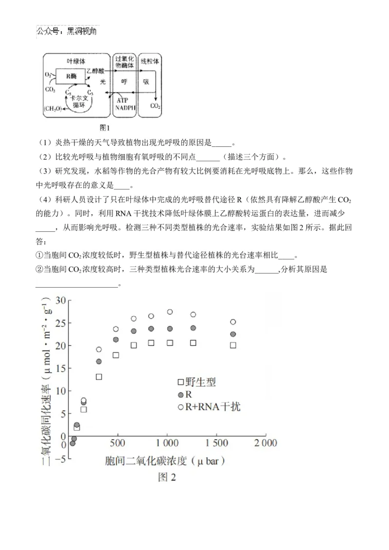 （6）光合作用&mdash;&mdash;2025届高考生物二轮复习易错重难提升（含解析）_2024-2025高三（6-6月题库）_2025年02月试卷_02162025届高考生物二轮复习易错重难提升（含解析）