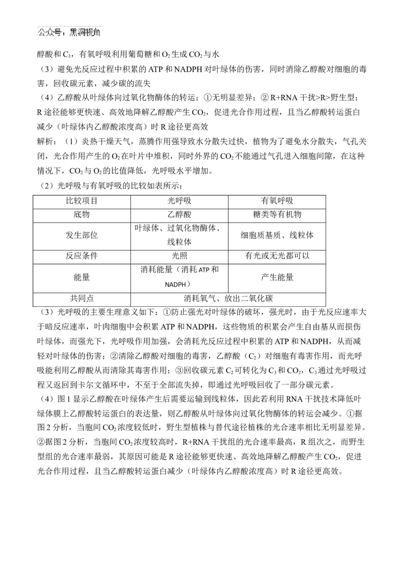 （6）光合作用&mdash;&mdash;2025届高考生物二轮复习易错重难提升（含解析）_2024-2025高三（6-6月题库）_2025年02月试卷_02162025届高考生物二轮复习易错重难提升（含解析）