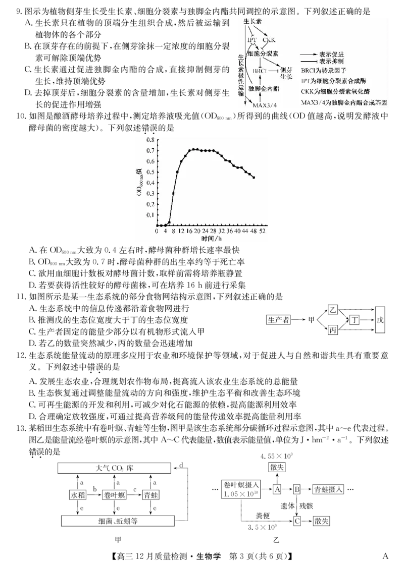 生物-12月质量检测（A）_2024-2026高三（6-6月题库）_2026年01月高三试卷_0103安徽省九师联盟2026届高三上学期12月质量检测（全）
