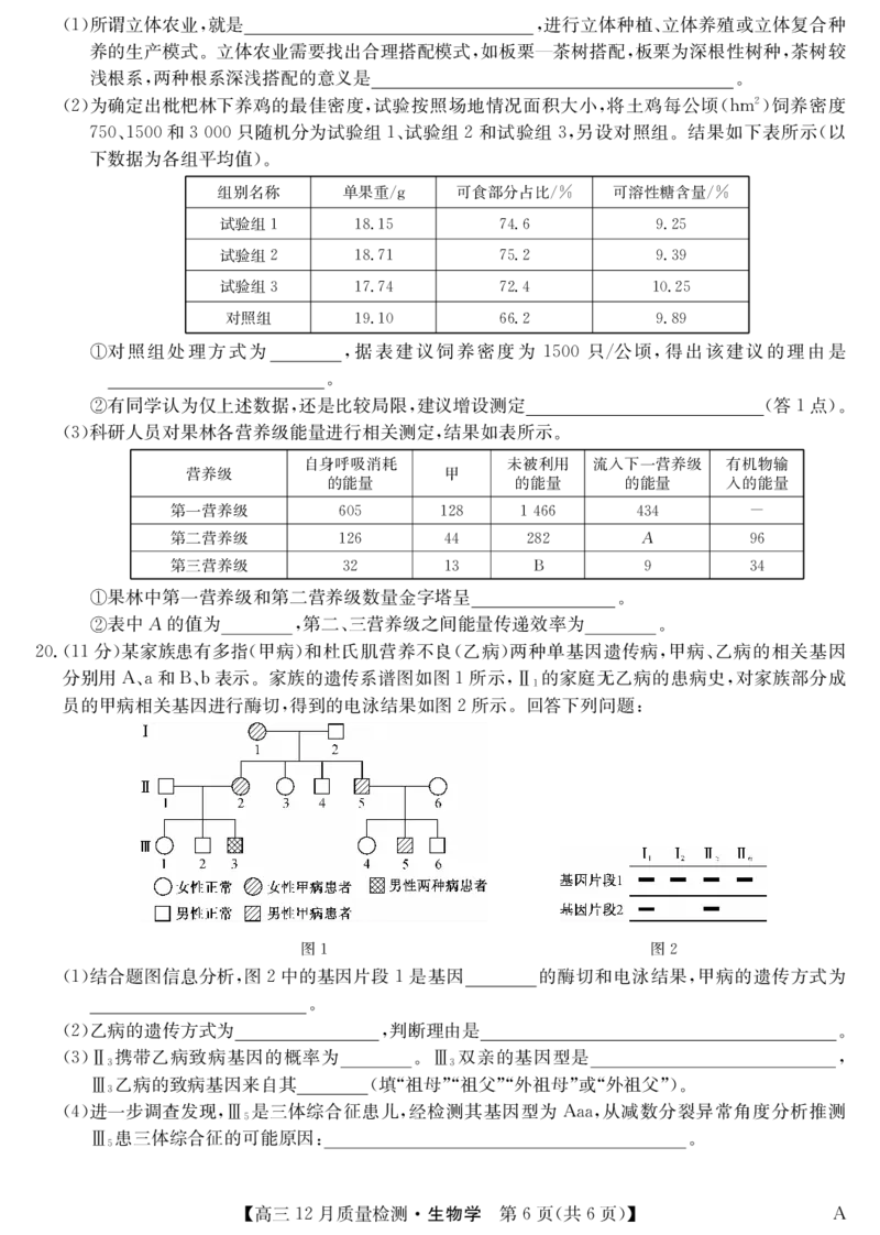 生物-12月质量检测（A）_2024-2026高三（6-6月题库）_2026年01月高三试卷_0103安徽省九师联盟2026届高三上学期12月质量检测（全）