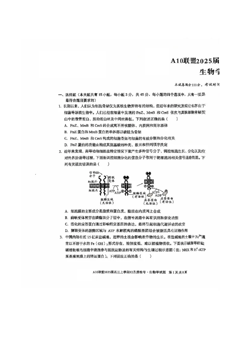 生物-安徽1号卷A10联盟2025届高三上学期12月质检考_2024-2025高三（6-6月题库）_2024年12月试卷_1221安徽1号卷A10联盟2025届高三上学期12月质检考