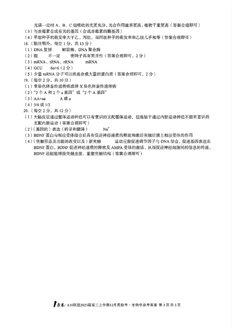 生物-安徽1号卷A10联盟2025届高三上学期12月质检考_2024-2025高三（6-6月题库）_2024年12月试卷_1221安徽1号卷A10联盟2025届高三上学期12月质检考