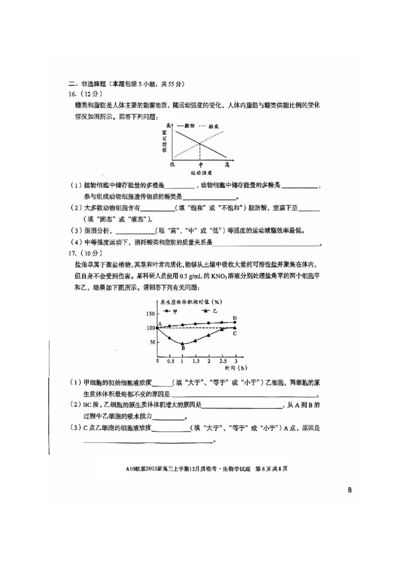 生物-安徽1号卷A10联盟2025届高三上学期12月质检考_2024-2025高三（6-6月题库）_2024年12月试卷_1221安徽1号卷A10联盟2025届高三上学期12月质检考