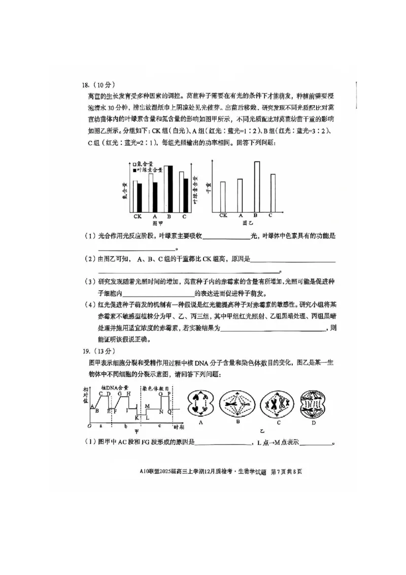 生物-安徽1号卷A10联盟2025届高三上学期12月质检考_2024-2025高三（6-6月题库）_2024年12月试卷_1221安徽1号卷A10联盟2025届高三上学期12月质检考