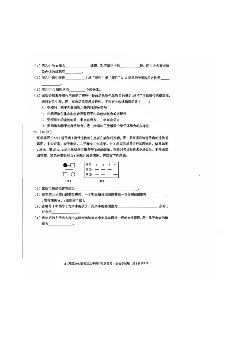 生物-安徽1号卷A10联盟2025届高三上学期12月质检考_2024-2025高三（6-6月题库）_2024年12月试卷_1221安徽1号卷A10联盟2025届高三上学期12月质检考