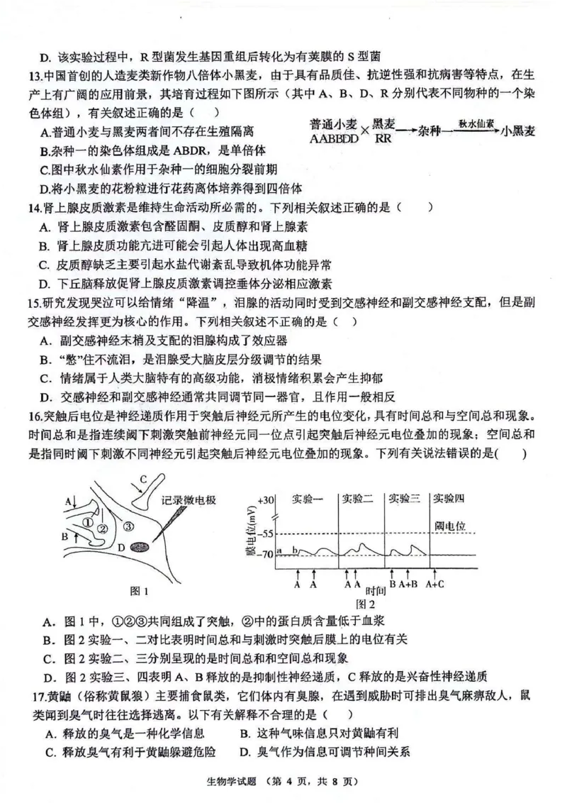 生物_2024-2025高三（6-6月题库）_2024年11月试卷_1105陕西省西安市2024-2025学年高三上学期11月联考一模（高新第一中学、安康市高新中学、宝鸡中学）