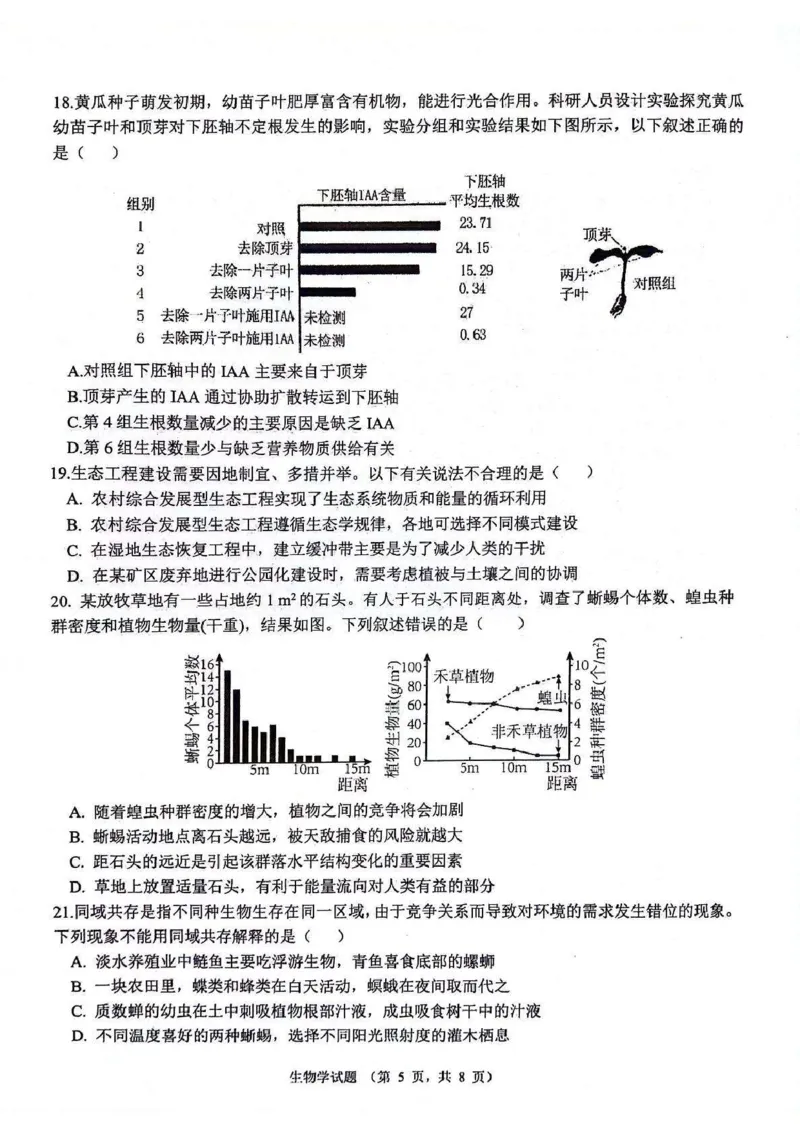 生物_2024-2025高三（6-6月题库）_2024年11月试卷_1105陕西省西安市2024-2025学年高三上学期11月联考一模（高新第一中学、安康市高新中学、宝鸡中学）