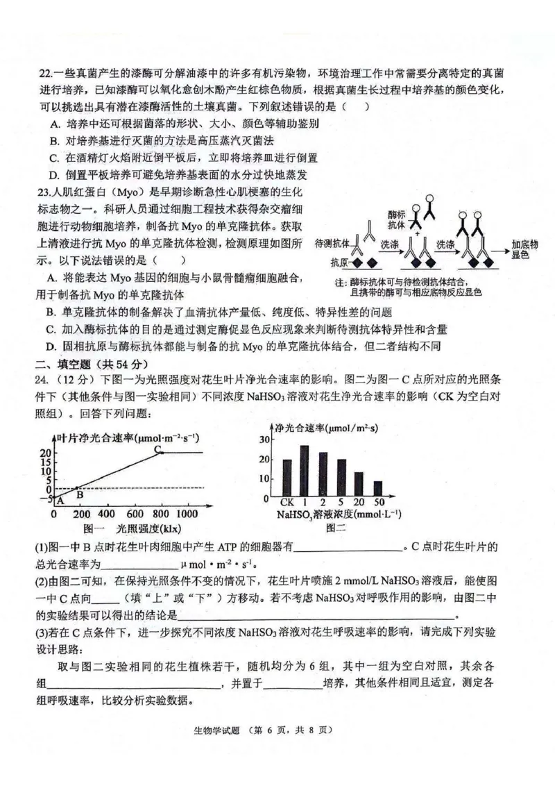 生物_2024-2025高三（6-6月题库）_2024年11月试卷_1105陕西省西安市2024-2025学年高三上学期11月联考一模（高新第一中学、安康市高新中学、宝鸡中学）