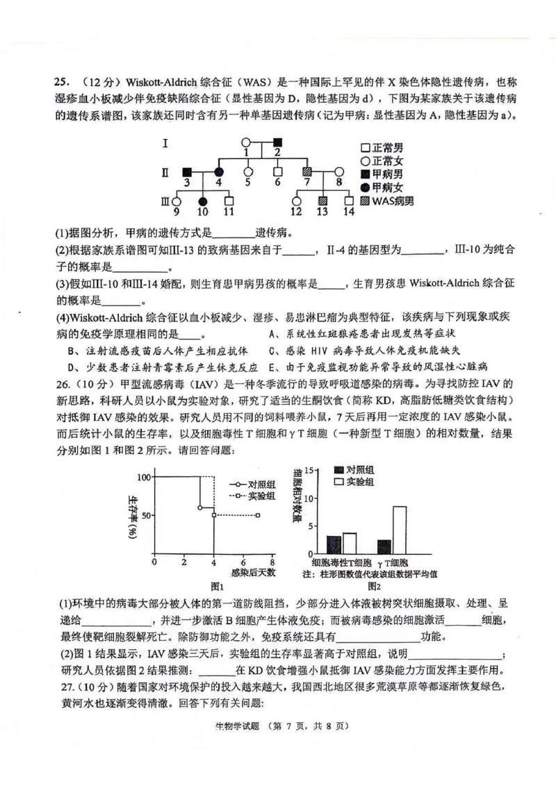 生物_2024-2025高三（6-6月题库）_2024年11月试卷_1105陕西省西安市2024-2025学年高三上学期11月联考一模（高新第一中学、安康市高新中学、宝鸡中学）