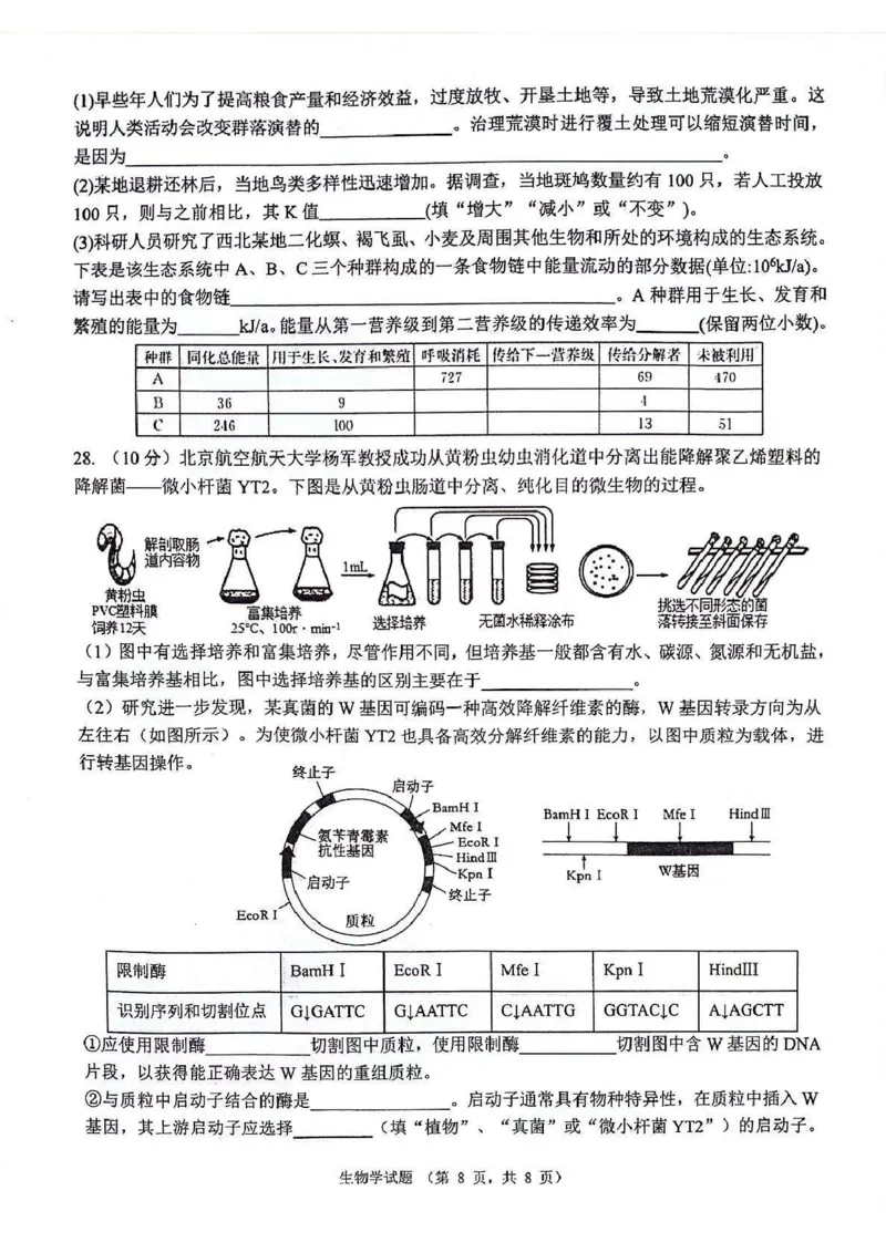 生物_2024-2025高三（6-6月题库）_2024年11月试卷_1105陕西省西安市2024-2025学年高三上学期11月联考一模（高新第一中学、安康市高新中学、宝鸡中学）