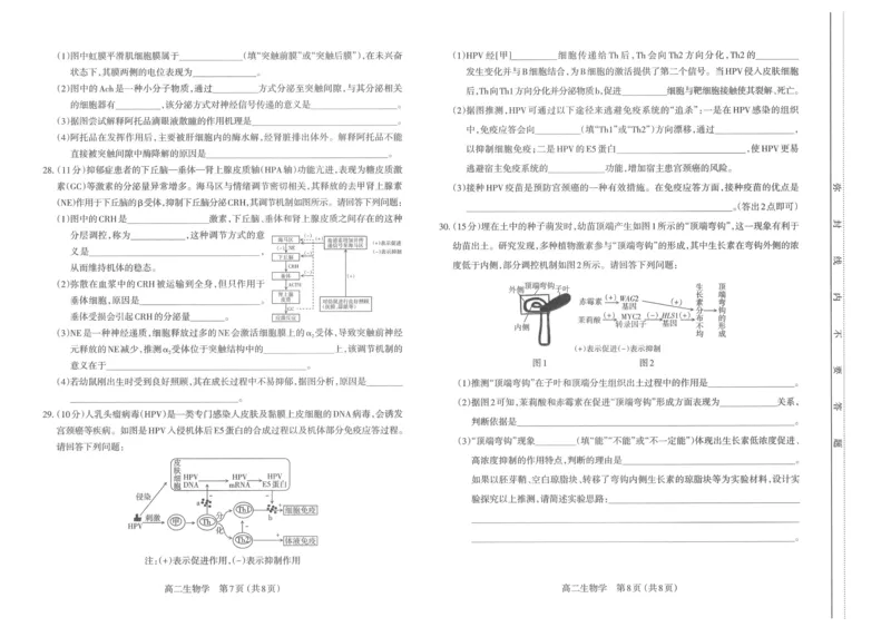 生物试题_2024-2025高二（7-7月题库）_2024年11月试卷_1120山西省太原市2024-2025学年高二上学期11月期中考试_山西省太原市2024-2025学年高二上学期11月期中考试生物试题（含答案