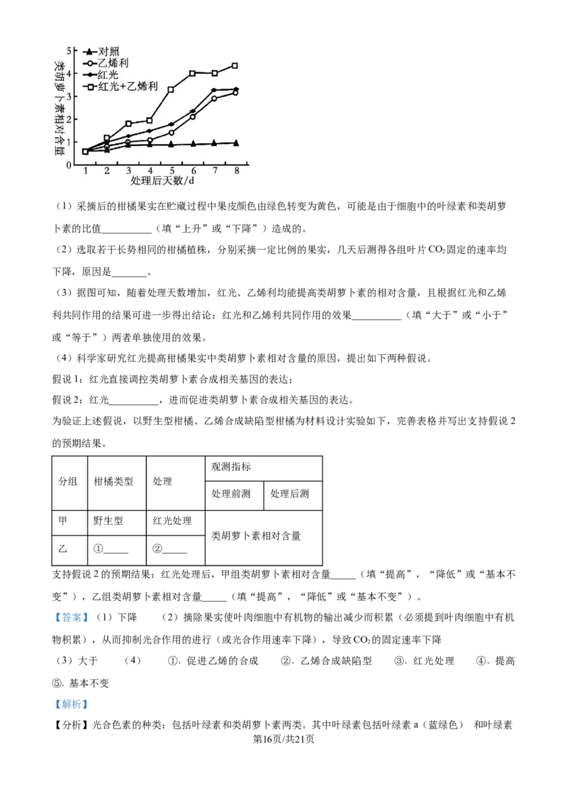 湖北省华中师范大学第一附属中学2024-2025学年高三上学期10月月度检测生物试卷（解析版）_2024-2025高三（6-6月题库）_2024年10月试卷