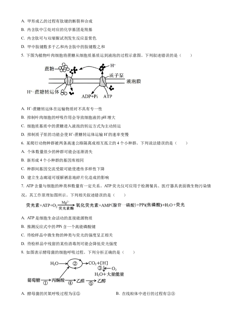 浙江省丽水市发展共同体2025-2026学年高二上学期11月期中生物试题Word版无答案_251210浙江省丽水发展共同体2025-2026学年高二上学期11月期中（全）