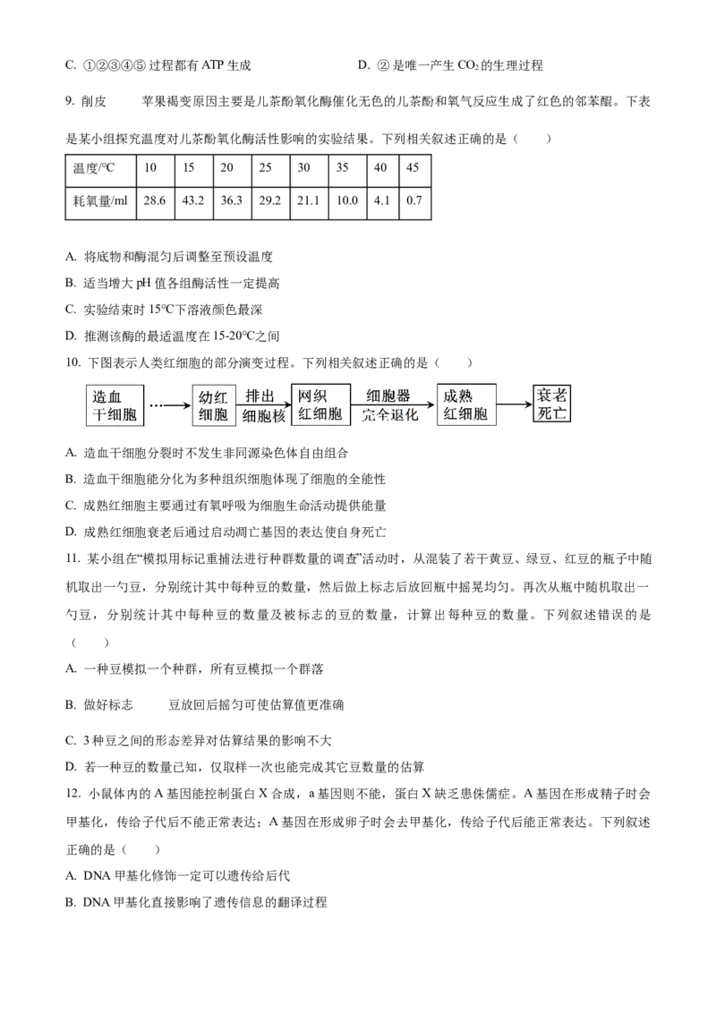 浙江省丽水市发展共同体2025-2026学年高二上学期11月期中生物试题Word版无答案_251210浙江省丽水发展共同体2025-2026学年高二上学期11月期中（全）