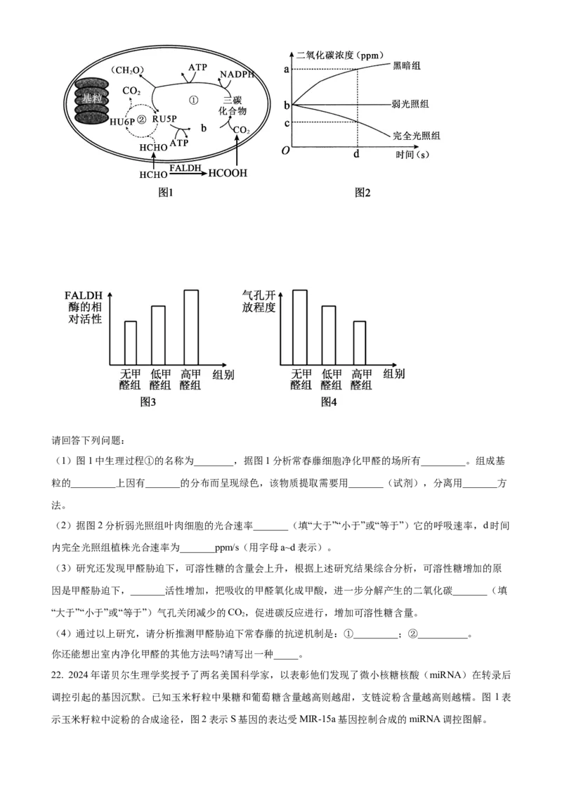 浙江省丽水市发展共同体2025-2026学年高二上学期11月期中生物试题Word版无答案_251210浙江省丽水发展共同体2025-2026学年高二上学期11月期中（全）