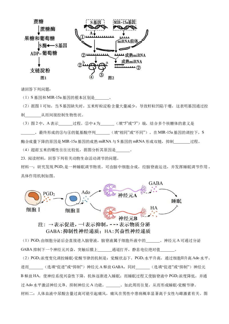 浙江省丽水市发展共同体2025-2026学年高二上学期11月期中生物试题Word版无答案_251210浙江省丽水发展共同体2025-2026学年高二上学期11月期中（全）