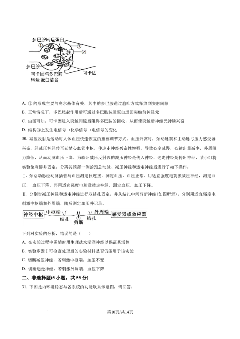 精品解析：河南省南阳市第一中学校2025-2026学年高二上学期9月月考生物试题（原卷版）_2025年10月高二试卷_251008河南省南阳市第一中学校2025-2026学年高二上学期第一次月考（全）