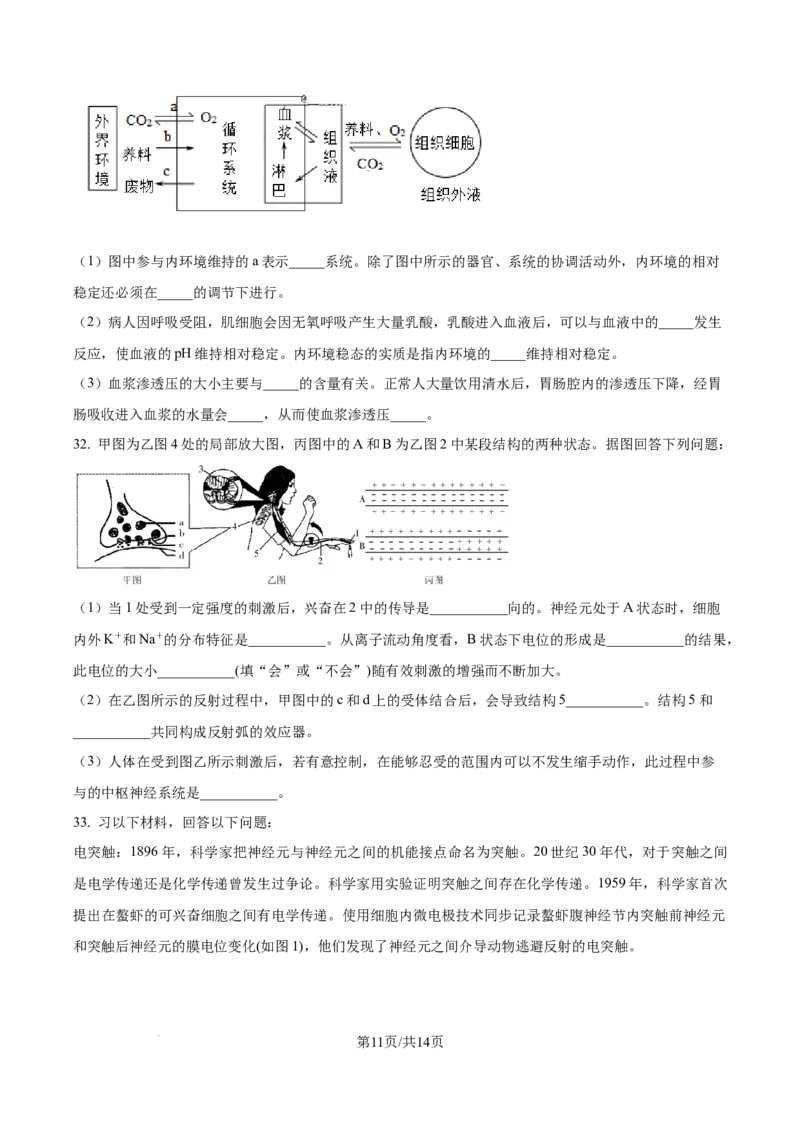 精品解析：河南省南阳市第一中学校2025-2026学年高二上学期9月月考生物试题（原卷版）_2025年10月高二试卷_251008河南省南阳市第一中学校2025-2026学年高二上学期第一次月考（全）