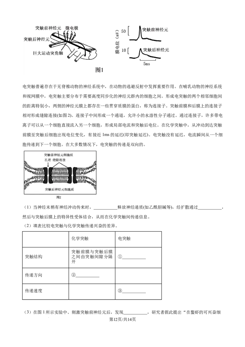 精品解析：河南省南阳市第一中学校2025-2026学年高二上学期9月月考生物试题（原卷版）_2025年10月高二试卷_251008河南省南阳市第一中学校2025-2026学年高二上学期第一次月考（全）