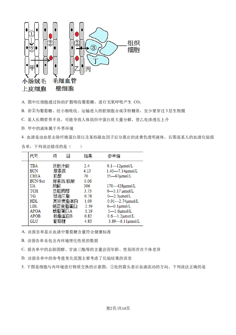 精品解析：河南省南阳市第一中学校2025-2026学年高二上学期9月月考生物试题（原卷版）_2025年10月高二试卷_251008河南省南阳市第一中学校2025-2026学年高二上学期第一次月考（全）