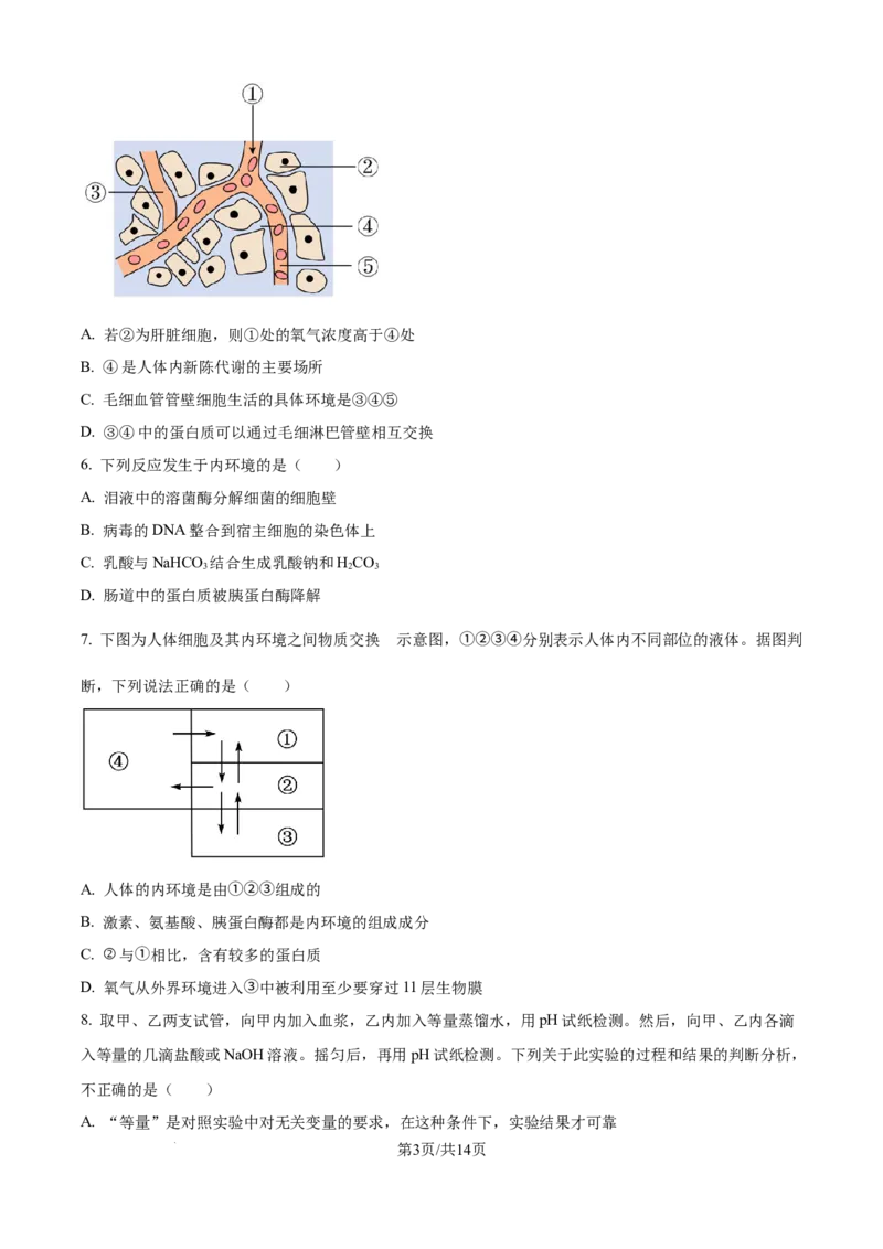 精品解析：河南省南阳市第一中学校2025-2026学年高二上学期9月月考生物试题（原卷版）_2025年10月高二试卷_251008河南省南阳市第一中学校2025-2026学年高二上学期第一次月考（全）