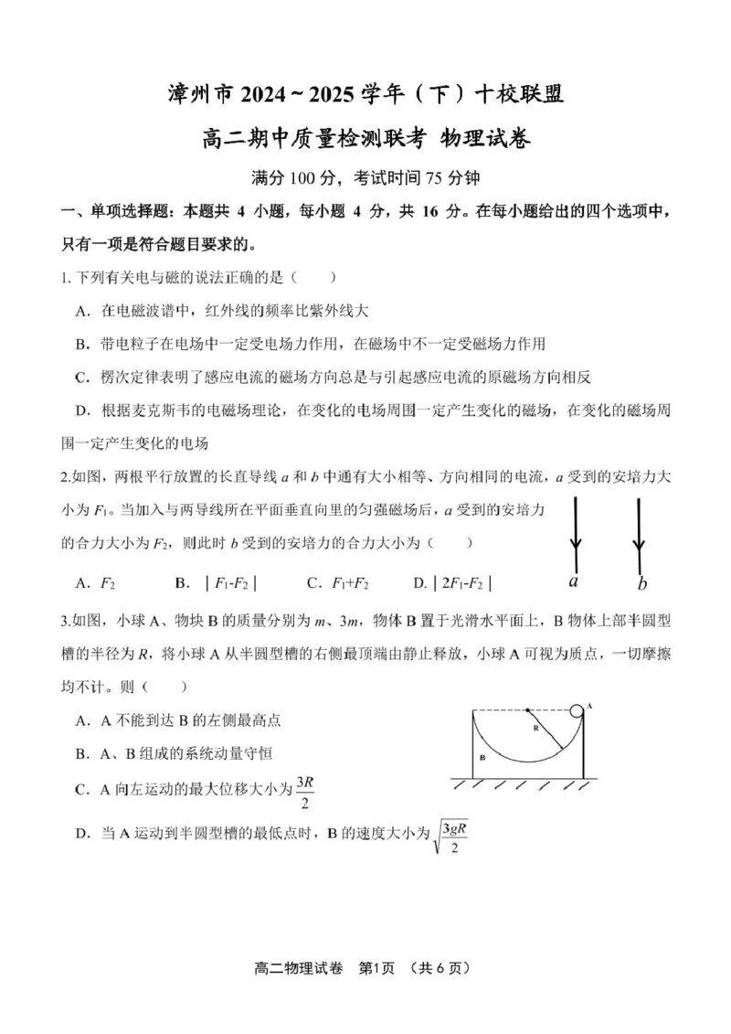 福建省漳州市十校联盟2024-2025学年高二下学期期中考试物理PDF版含答案_2024-2025高二（7-7月题库）_2025年05月试卷_0527福建省漳州市十校联盟2024-2025学年高二下学期期中考试