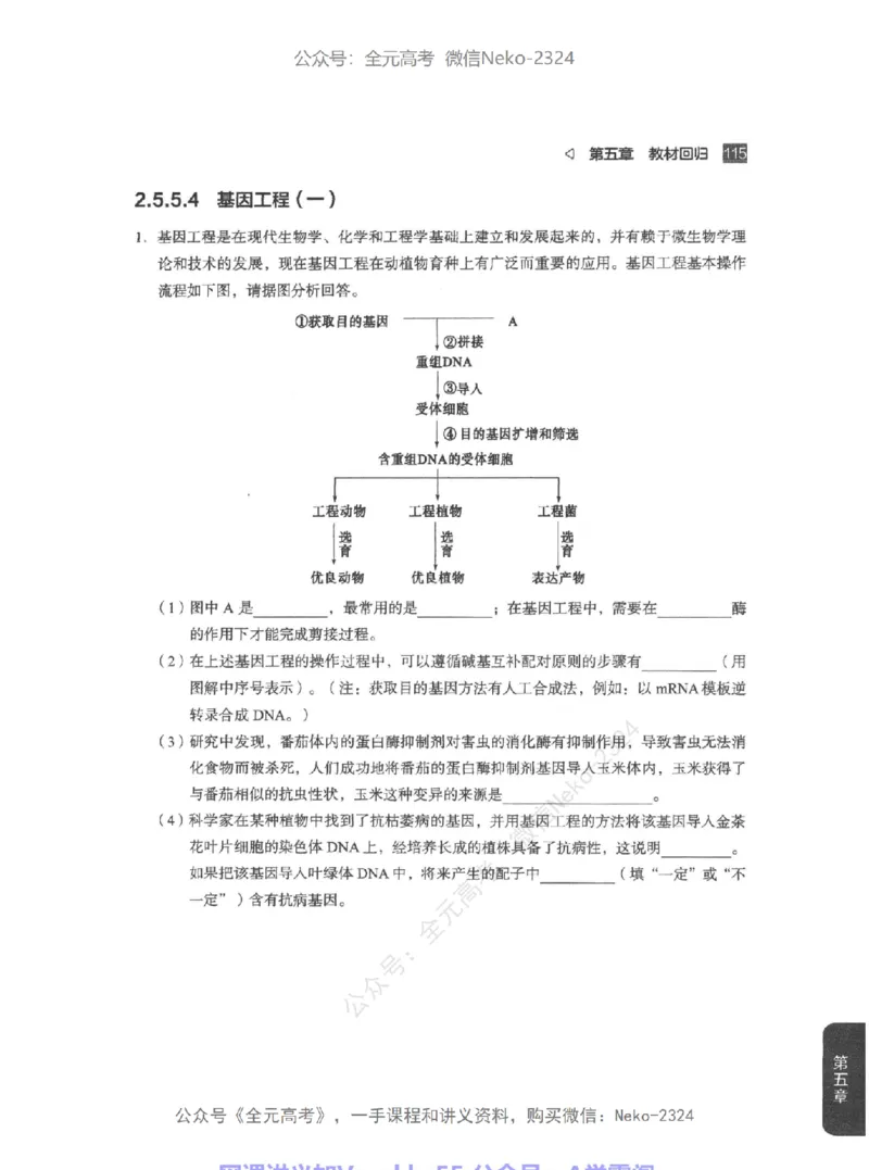 高考生物精讲精练二轮配套习题-124黑白@_2024-2025高三（6-6月题库）_2024年09月试卷_万猛