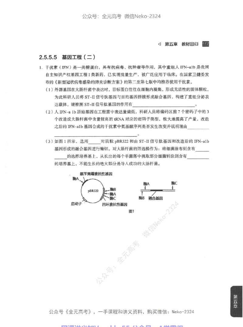 高考生物精讲精练二轮配套习题-124黑白@_2024-2025高三（6-6月题库）_2024年09月试卷_万猛