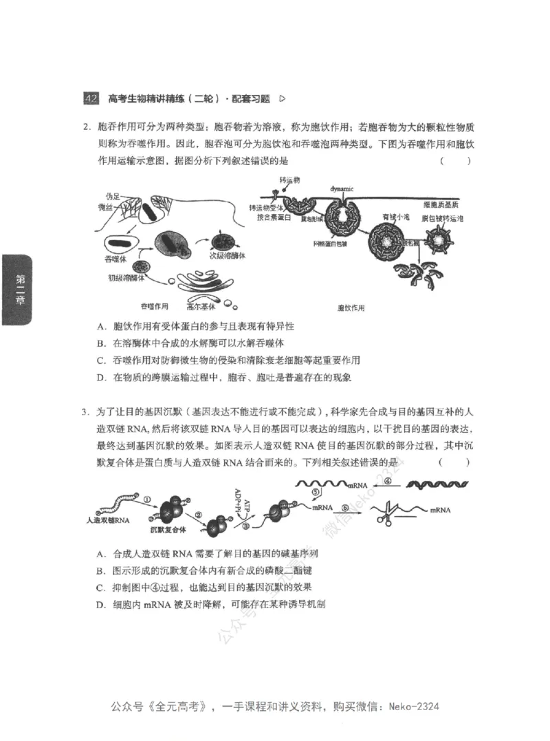 高考生物精讲精练二轮配套习题-124黑白@_2024-2025高三（6-6月题库）_2024年09月试卷_万猛