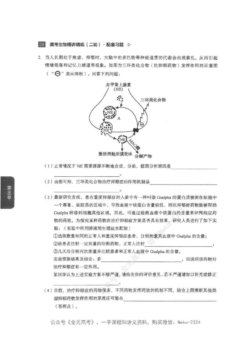 高考生物精讲精练二轮配套习题-124黑白@_2024-2025高三（6-6月题库）_2024年09月试卷_万猛