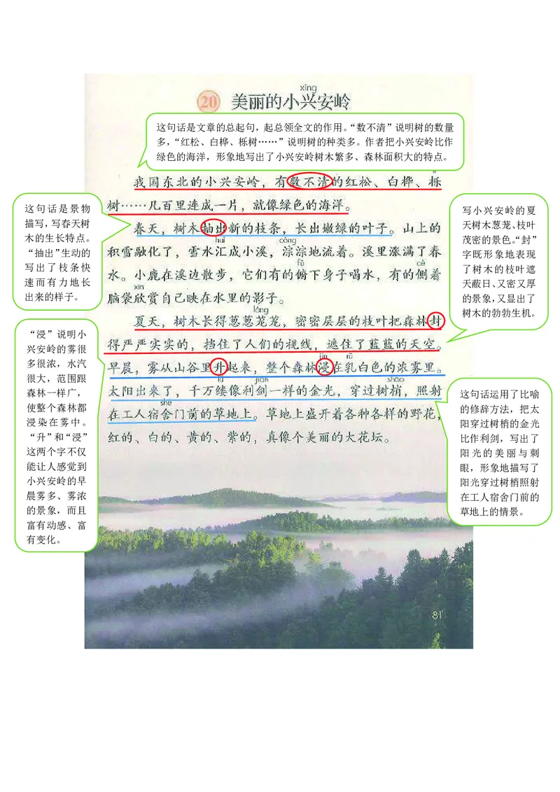 三年级上册语文部编版课堂笔记_小学1-6年级全部试卷_语文_三年级_3-8-1、小学三年级语文上册_3-8-1-1、复习、知识点、归纳汇总_部编（人教）版