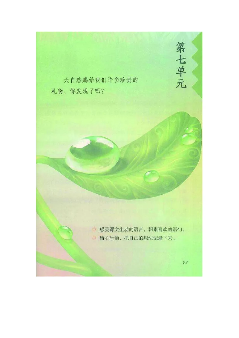 三年级上册语文部编版课堂笔记_小学1-6年级全部试卷_语文_三年级_3-8-1、小学三年级语文上册_3-8-1-1、复习、知识点、归纳汇总_部编（人教）版