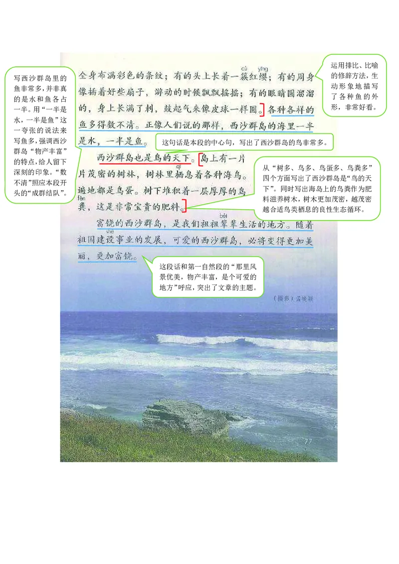 三年级上册语文部编版课堂笔记_小学1-6年级全部试卷_语文_三年级_3-8-1、小学三年级语文上册_3-8-1-1、复习、知识点、归纳汇总_部编（人教）版