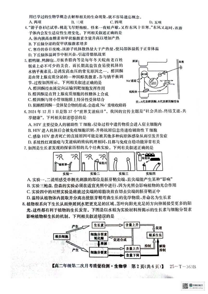高二生物_2024-2025高二（7-7月题库）_2024年12月试卷_1225陕西省榆林市府谷县部分学校2024-2025学年高二上学期12月月考试题