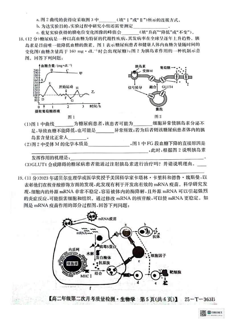 高二生物_2024-2025高二（7-7月题库）_2024年12月试卷_1225陕西省榆林市府谷县部分学校2024-2025学年高二上学期12月月考试题