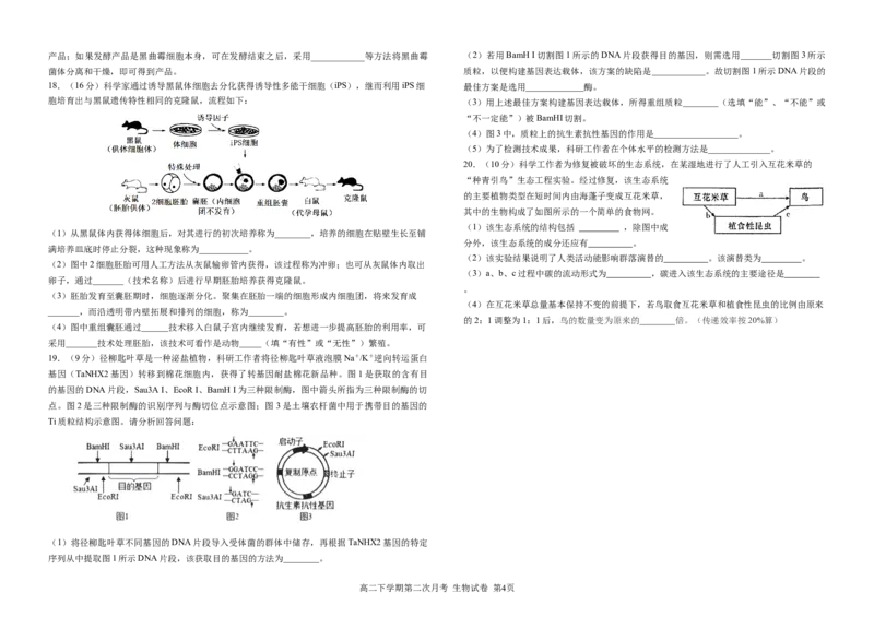 生物试卷第二次月考试题_2024-2025高二（7-7月题库）_2025年6月试卷_0609四川省达州市万源中学2024-2025学年高二下学期6月月考试题