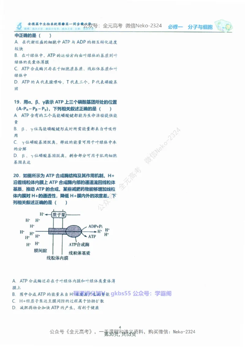 高一生物刷题课讲义1-15讲必修一-薄本@_2024-2025高三（6-6月题库）_2024年09月试卷_李林
