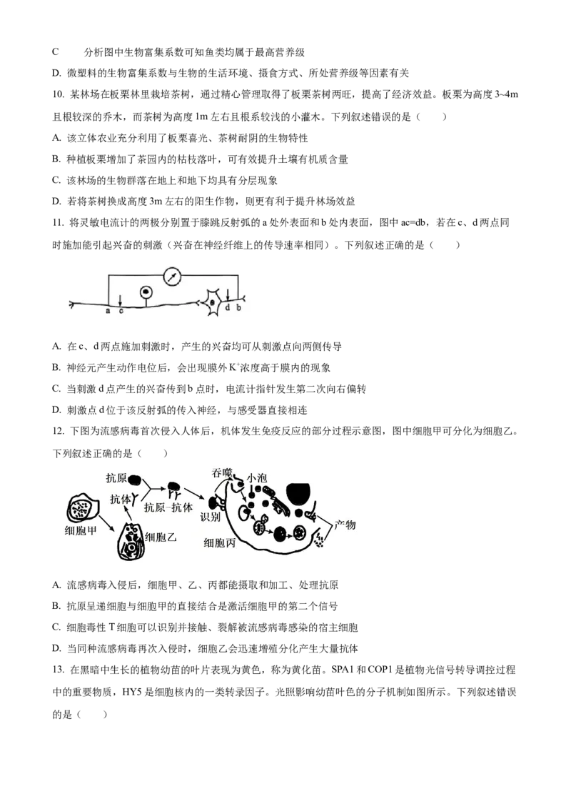 福建省厦门市2024-2025学年高二上学期期末考试生物试题Word版无答案_2024-2025高二（7-7月题库）_2025年03月试卷_0310福建省厦门市2024-2025学年高二上学期期末考试