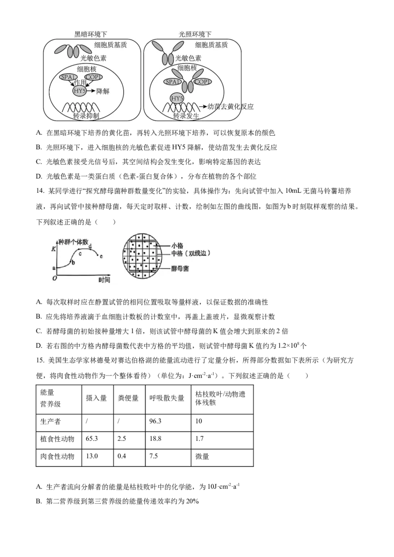 福建省厦门市2024-2025学年高二上学期期末考试生物试题Word版无答案_2024-2025高二（7-7月题库）_2025年03月试卷_0310福建省厦门市2024-2025学年高二上学期期末考试