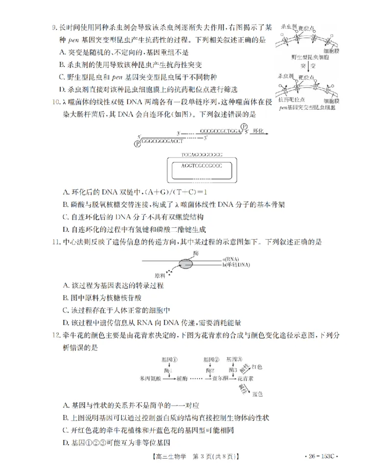 河北省邢台市2025-2026学年高三（上）第三次月考（26-153C）生物_2024-2026高三（6-6月题库）_2026年01月高三试卷_0103金太阳&middot;河北省邢台市2025-2026学年高三（上）第三次月考（26-153C）（全）