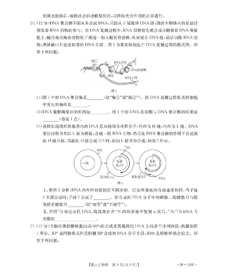 河北省邢台市2025-2026学年高三（上）第三次月考（26-153C）生物_2024-2026高三（6-6月题库）_2026年01月高三试卷_0103金太阳&middot;河北省邢台市2025-2026学年高三（上）第三次月考（26-153C）（全）