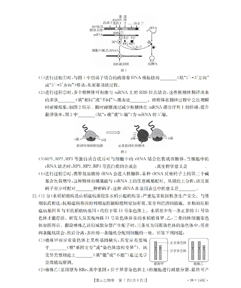 河北省邢台市2025-2026学年高三（上）第三次月考（26-153C）生物_2024-2026高三（6-6月题库）_2026年01月高三试卷_0103金太阳&middot;河北省邢台市2025-2026学年高三（上）第三次月考（26-153C）（全）