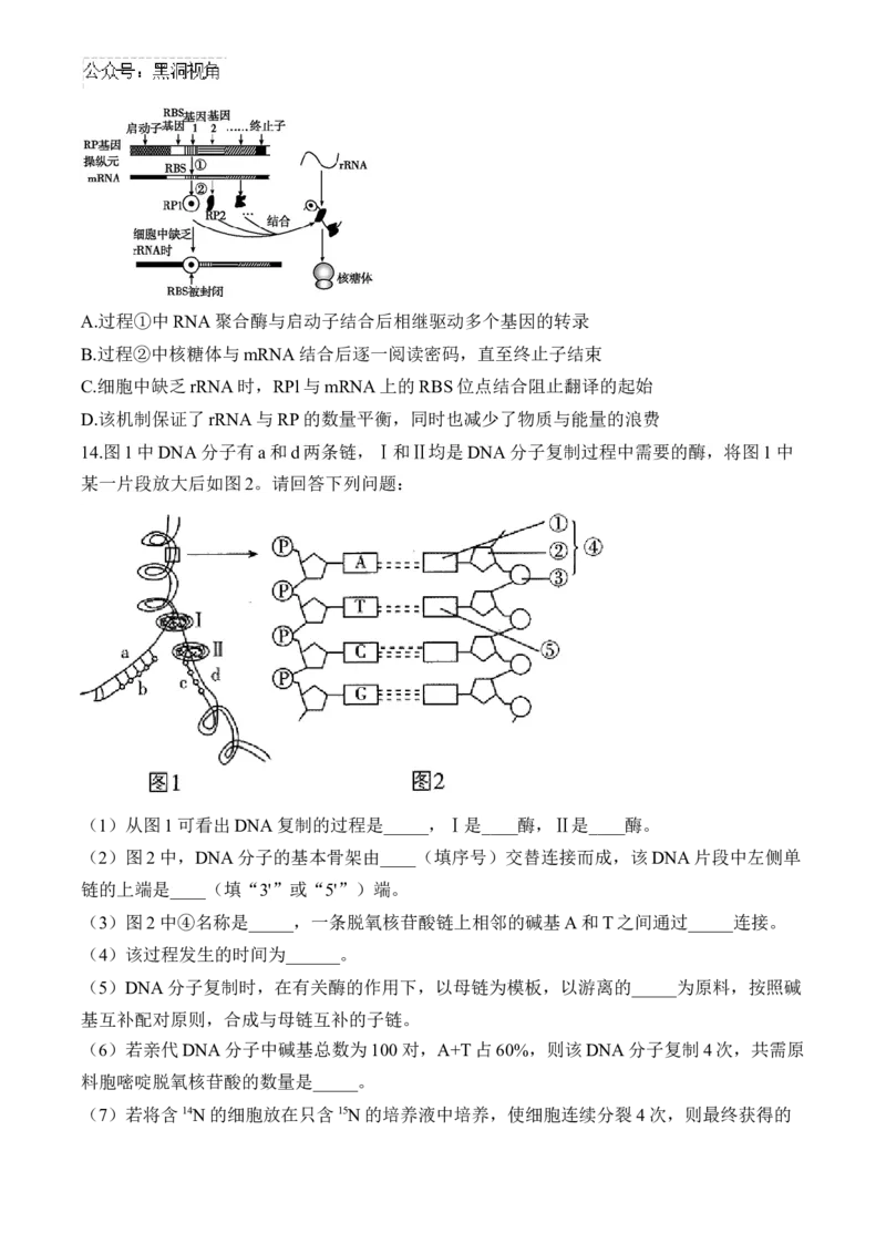 （9）遗传的分子基础&mdash;&mdash;2025届高考生物二轮复习易错重难提升（含解析）_2024-2025高三（6-6月题库）_2025年02月试卷_02162025届高考生物二轮复习易错重难提升（含解析）