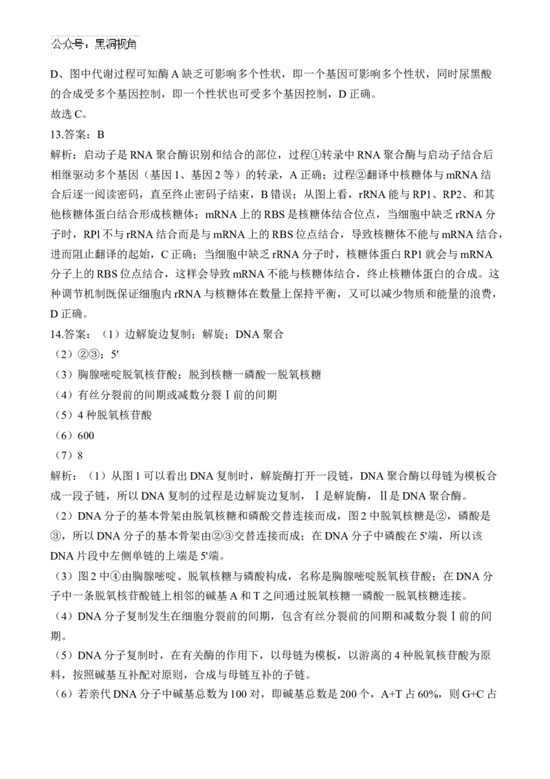 （9）遗传的分子基础&mdash;&mdash;2025届高考生物二轮复习易错重难提升（含解析）_2024-2025高三（6-6月题库）_2025年02月试卷_02162025届高考生物二轮复习易错重难提升（含解析）